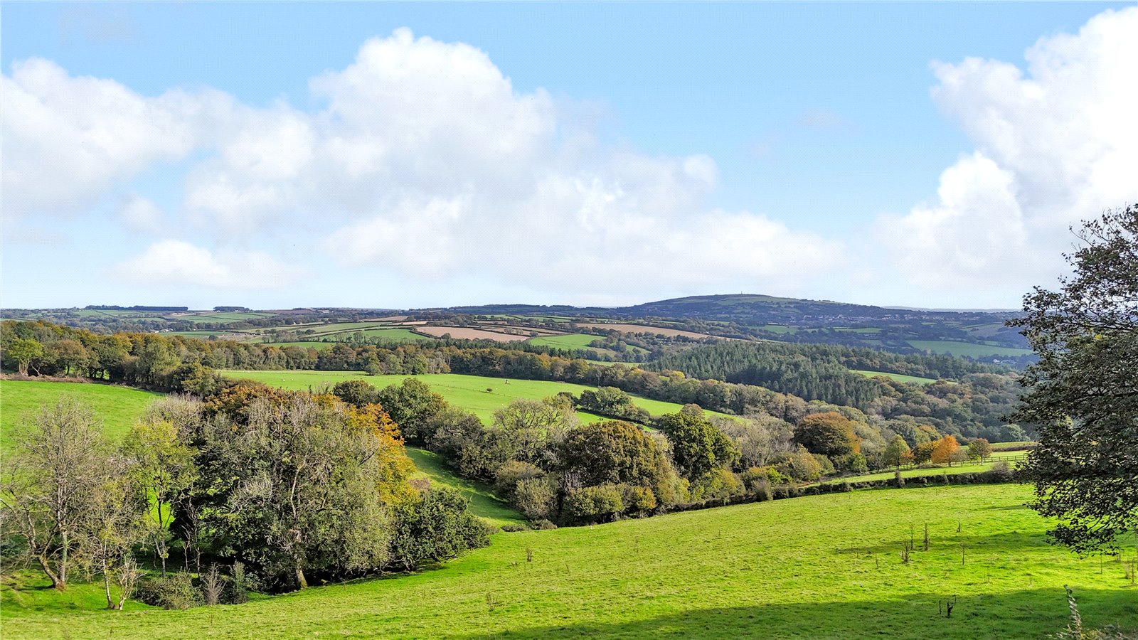 Bicton, Pensilva, Liskeard, Cornwall PL14