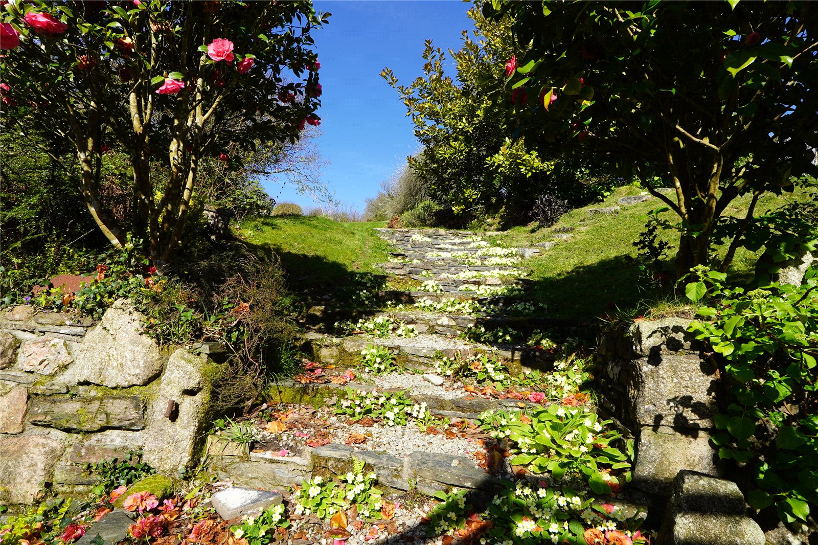 St. Neot, Liskeard, Cornwall PL14