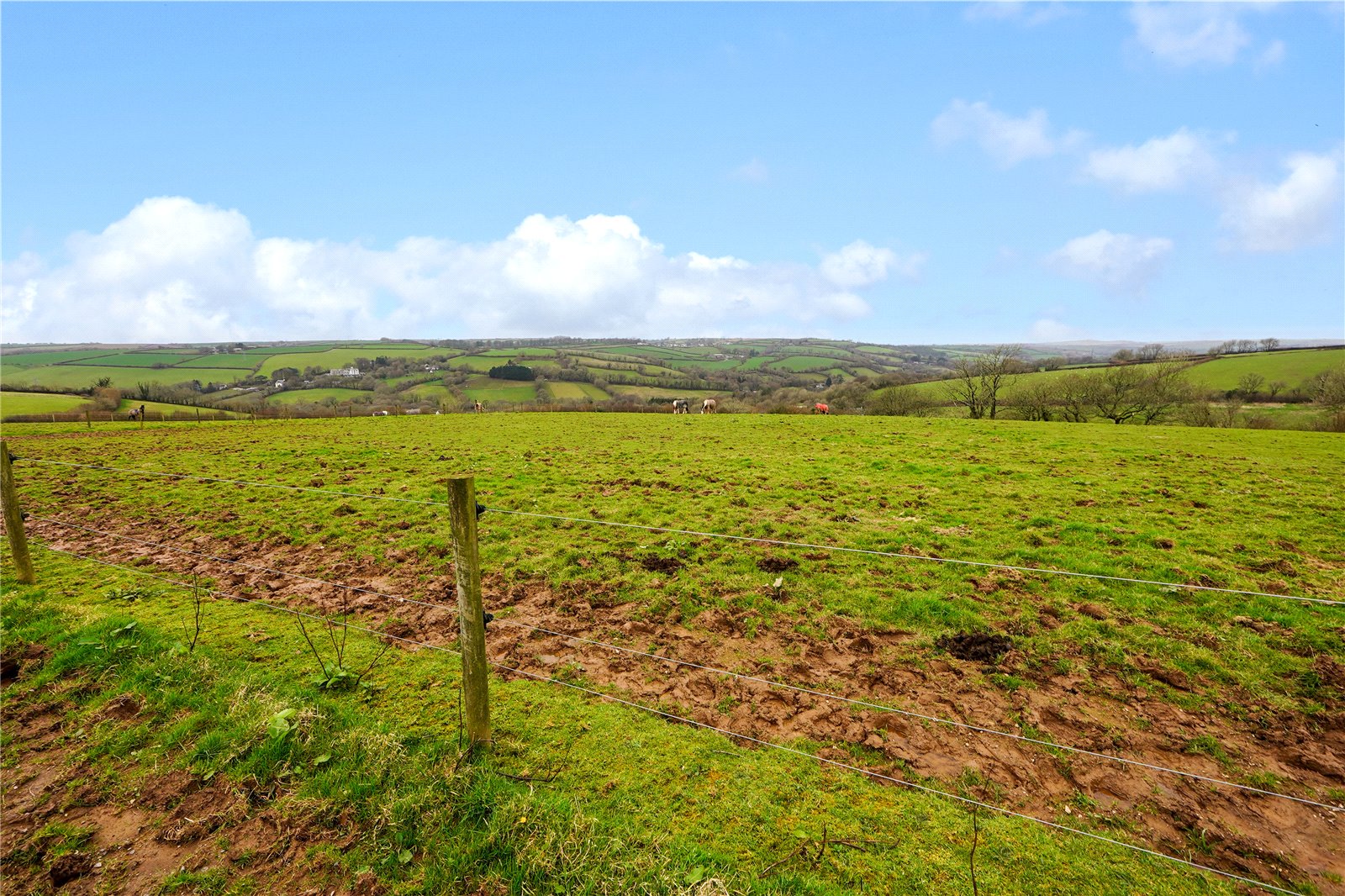 Trewidland, Liskeard, Cornwall PL14