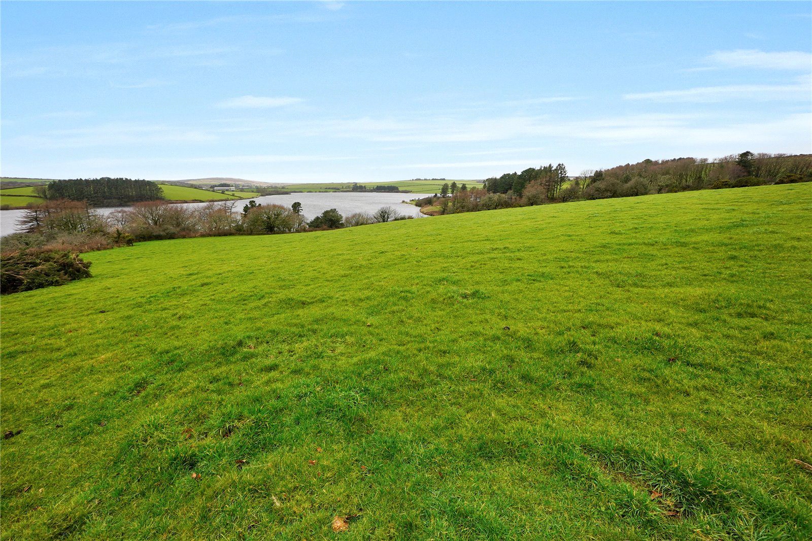 Common Moor, Liskeard, Cornwall PL14