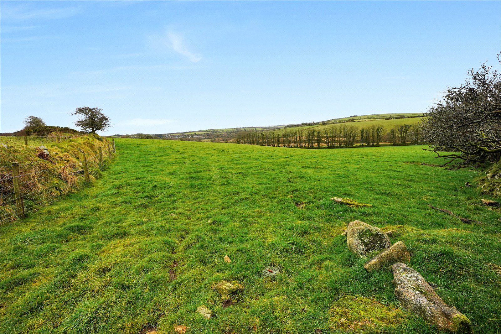 Common Moor, Liskeard, Cornwall PL14