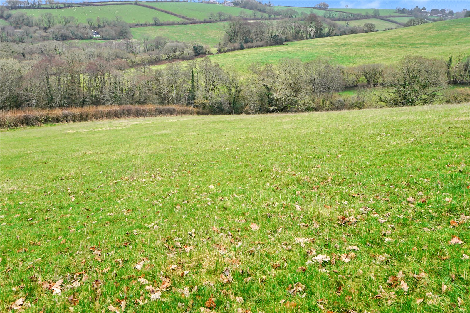 Trewidland, Liskeard, Cornwall PL14