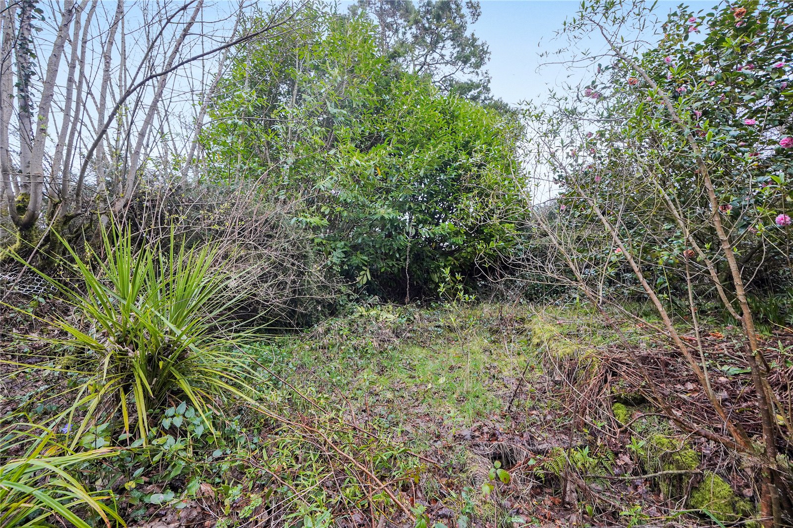 Liskeard, Cornwall PL14