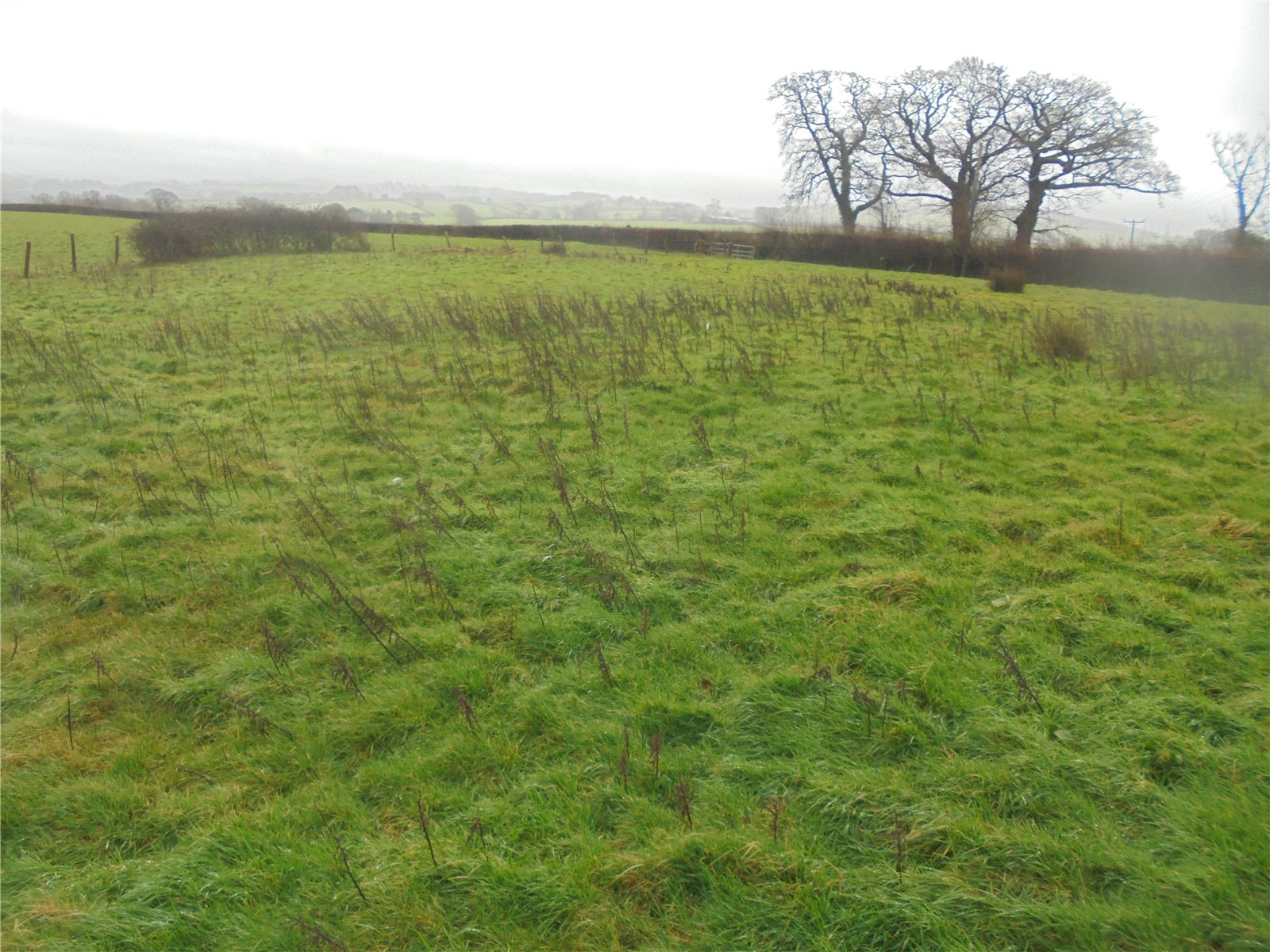 Tremaine, Launceston, Cornwall PL15