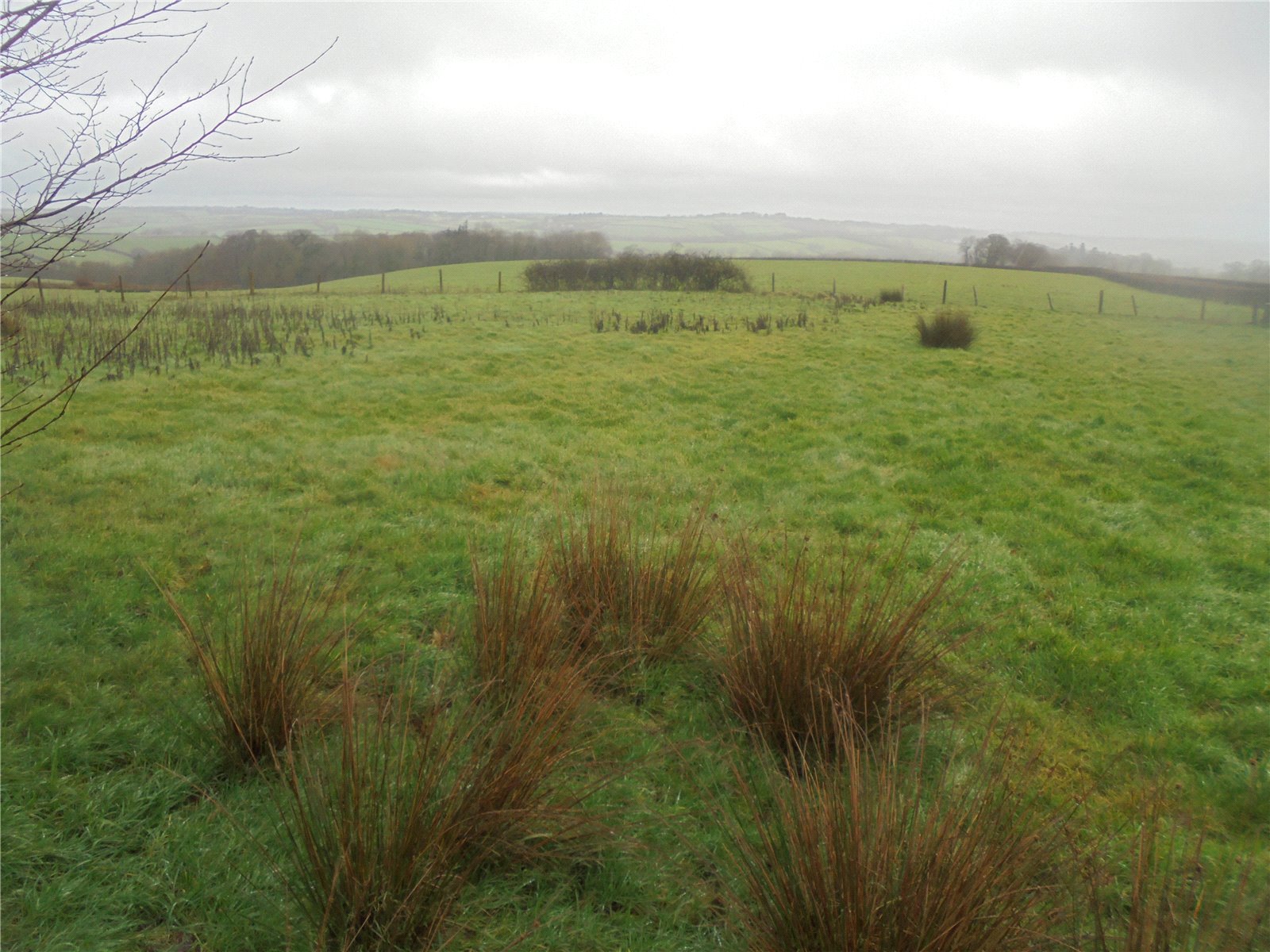 Tremaine, Launceston, Cornwall PL15