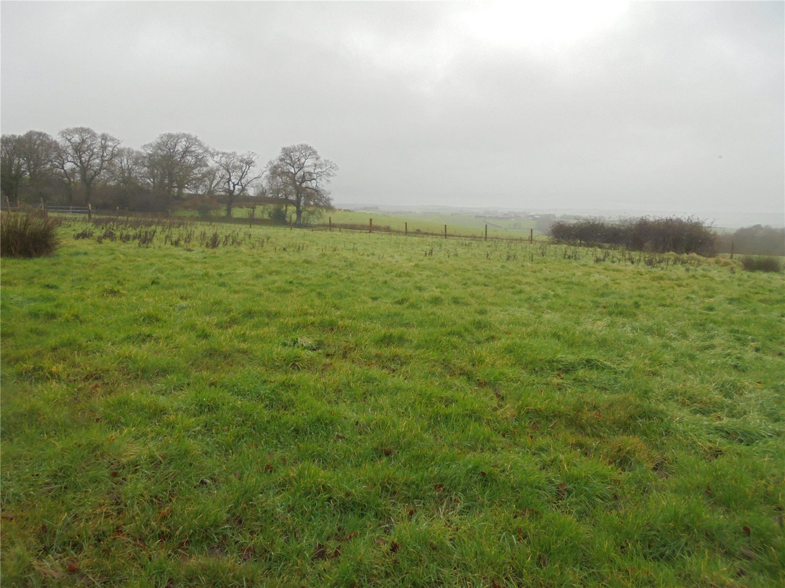 Tremaine, Launceston, Cornwall PL15