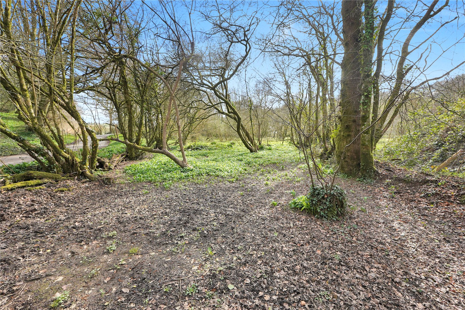 St. Keyne, Liskeard, Cornwall PL14