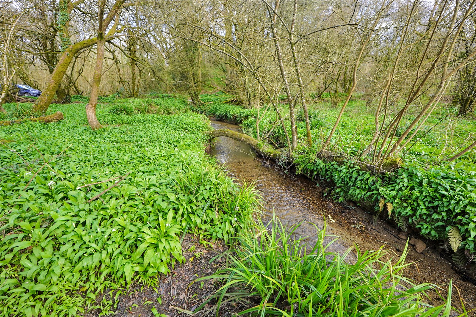 St. Keyne, Liskeard, Cornwall PL14