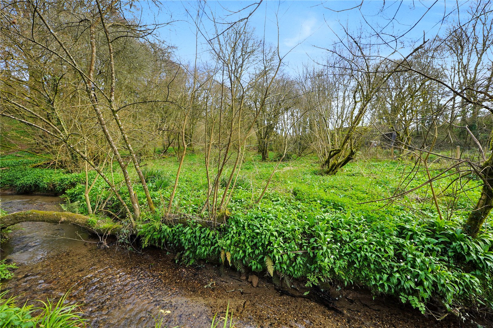 St. Keyne, Liskeard, Cornwall PL14