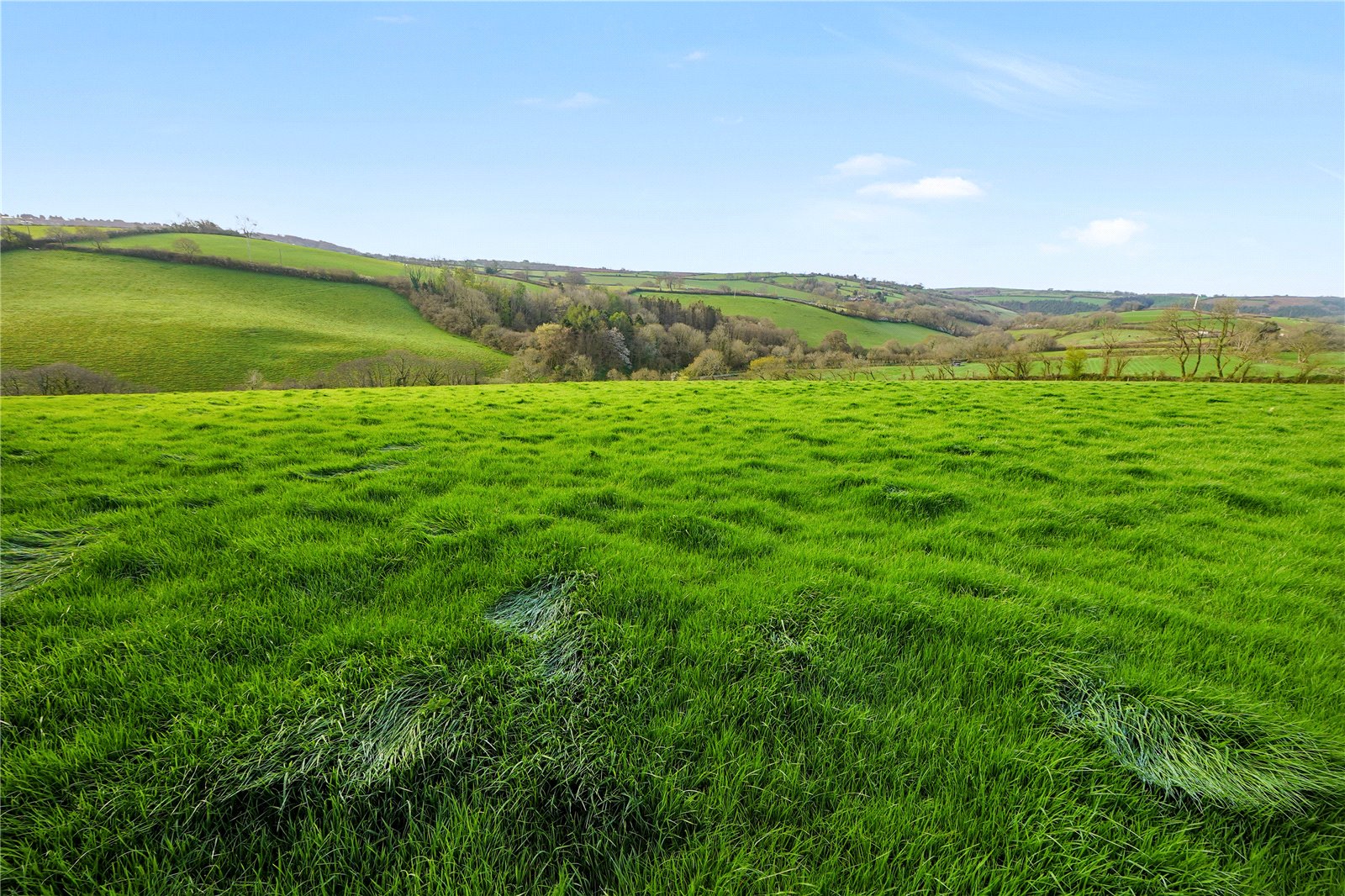 Trewidland, Liskeard, Cornwall PL14